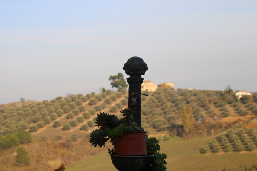 Italy Abruzzo Torre Mannella landscape