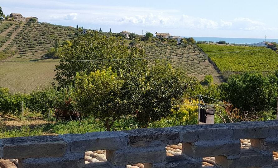 Italy Abruzzo Torre Mannella landscape hills vineyards