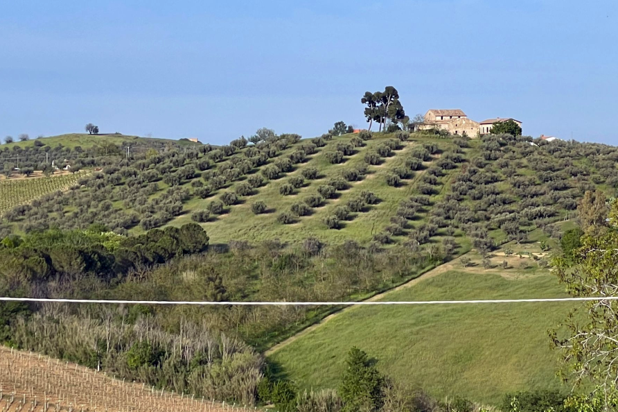 Landscape Torre Mannella