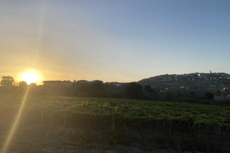 Italy Abruzzo Torre Mannella apartment view vineyards sunset village