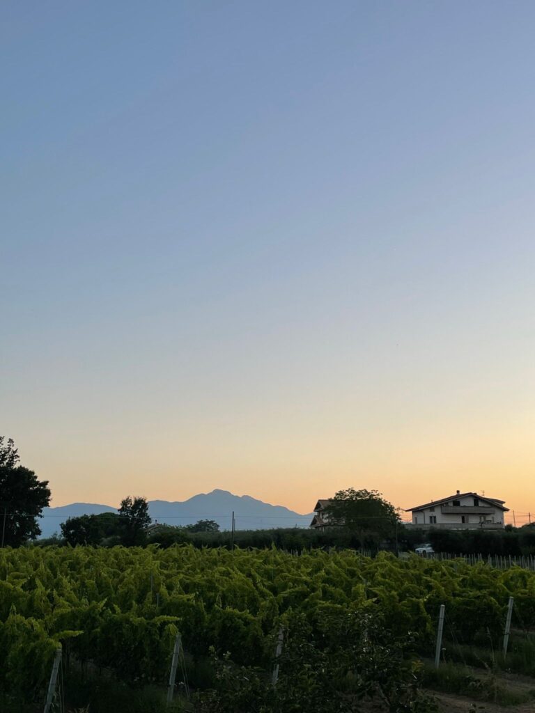 Italy Abruzzo Torre Mannella mountains vineyards sunset