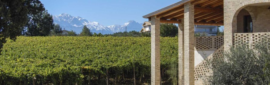 Torre Mannella vineyards gran sasso view
