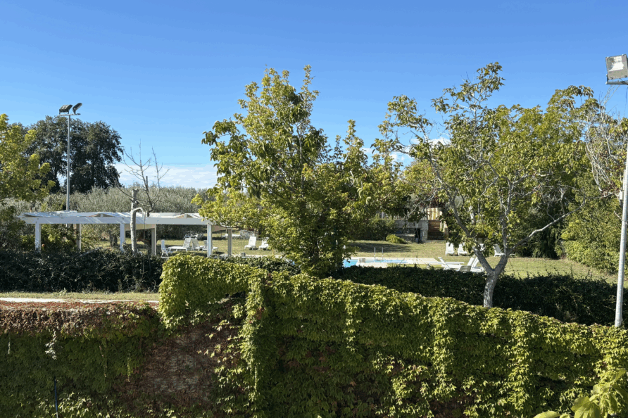 Agriturismo Torre Mannella swimming pool view